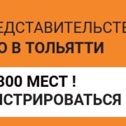 Приглашаем на официальное открытие регионального представительства Фонда «Сколково» в Тольятти 25 октября!