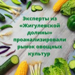 Эксперты из «Жигулевской долины» проанализировали рынок овощных культур и поделились прогнозами